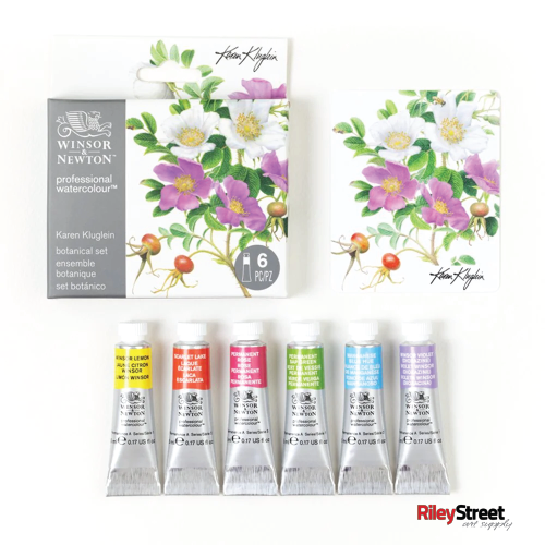 Winsor & Newton Professional Watercolour 6 Color Sets