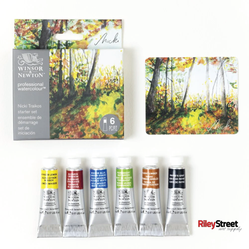Winsor & Newton Professional Watercolour 6 Color Sets