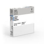 Winsor & Newton Classic Series Stretched Canvas