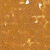 Havana Ochre