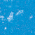 Indian Blue