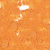 Terra Cotta