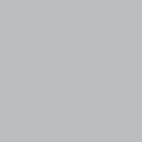 Neutral Gray 4 N4