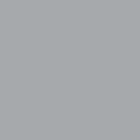 Neutral Gray 5 N5