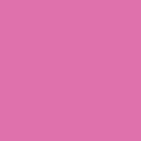Fuchsia RV09