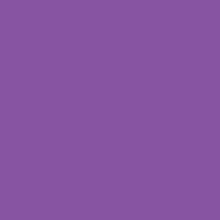 Violet V09