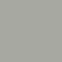 Warm Gray 5 W5