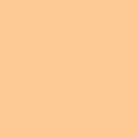 Light Orange YR02