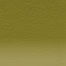 Lichen Green