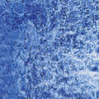 Lapis Lazuli Genuine