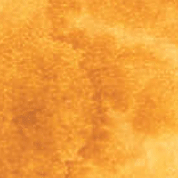 Burgundy Yellow Ochre