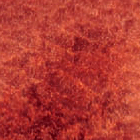 Burgundy Red Ochre