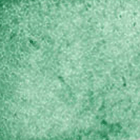 Kingman Green Turquoise Genuine