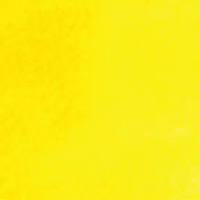 Cadmium Yellow Light Hue