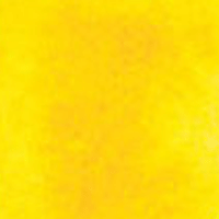 Cadmium Yellow Deep Hue