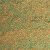 Duochrome Saguaro Green