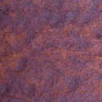 Duochrome Cactus Flower