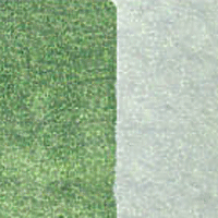 Duochrome Tropic Sunrise