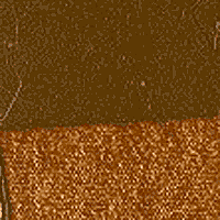 Transparent Earth Yellow