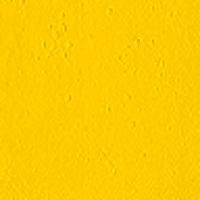 Cadmium Yellow Medium