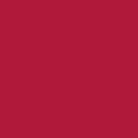 C.P. Cadmium Red Dark