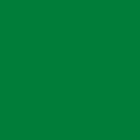 Permanant Green Light
