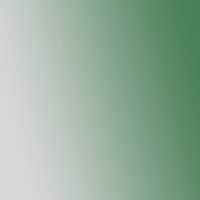 Interference Green/Blue (Fine)