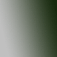 Interference Green/Orange (Fine)