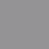 Neutral Grey N3
