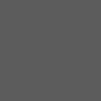 Neutral Grey N4