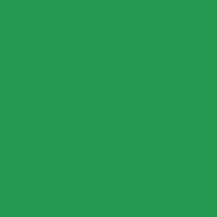 Light Green Permanent