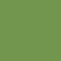 Metallic Light Green