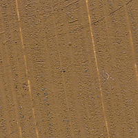 Brilliant Yellow Extra Pale