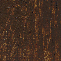 Burnt Umber