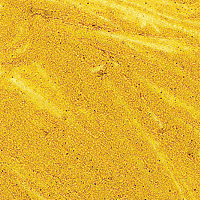 Iridescent Pale Gold