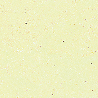 Iridescent Pearl White