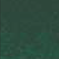 Winsor Green (Blue Shade)