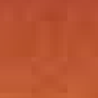 Burnt Sienna