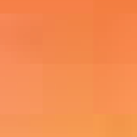 Cadmium Orange Hue
