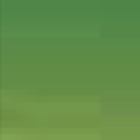 Sap Green