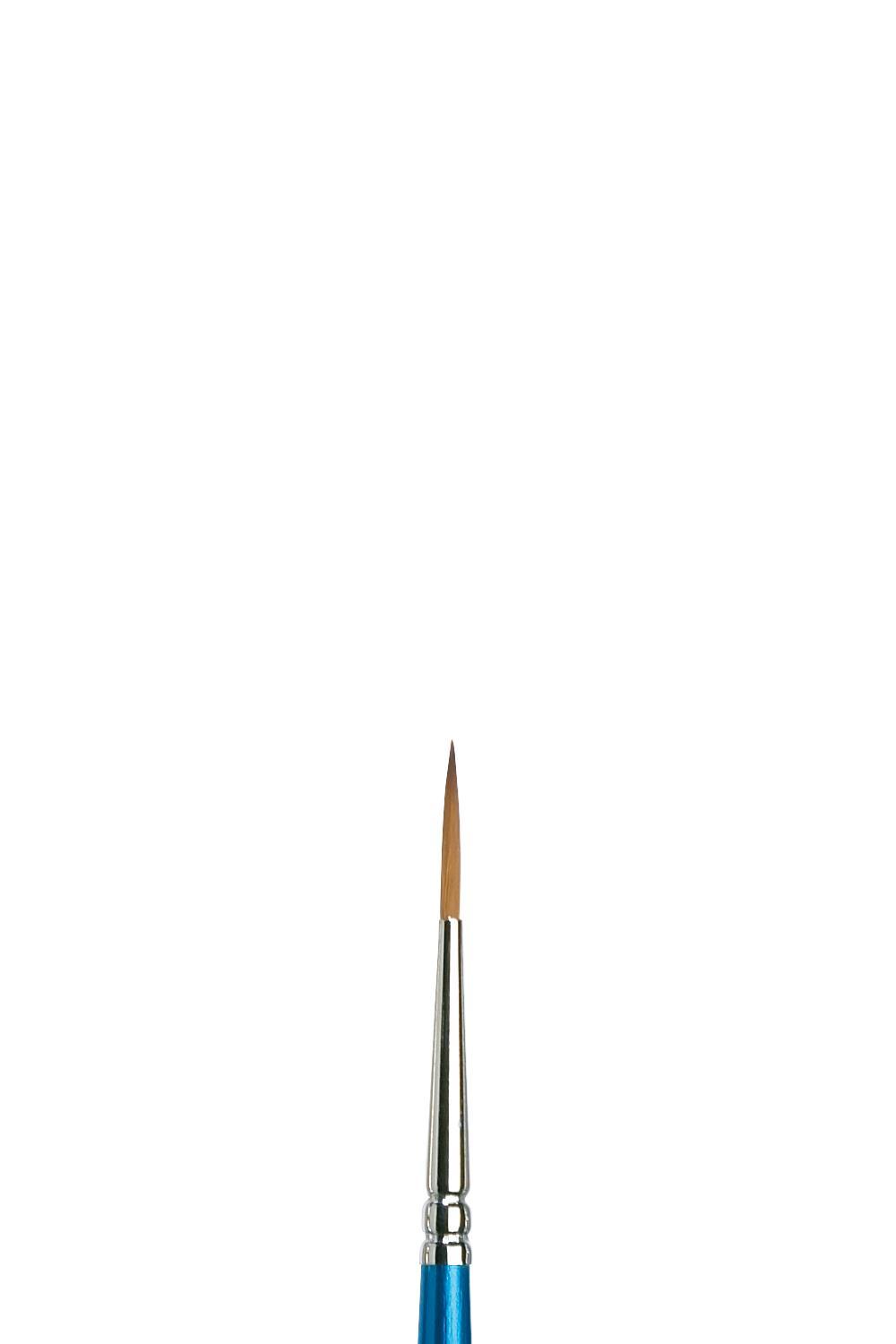 Cotman Watercolor Brushes