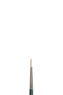 Winsor & Newton Winton Oil Brush