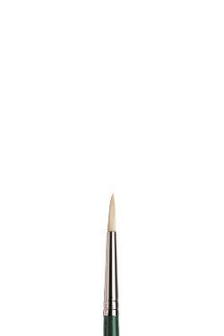 Winsor & Newton Winton Oil Brush