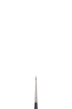 Winsor & Newton Galeria Brushes