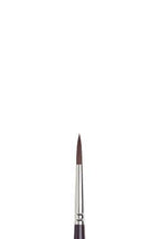 Winsor & Newton Galeria Brushes
