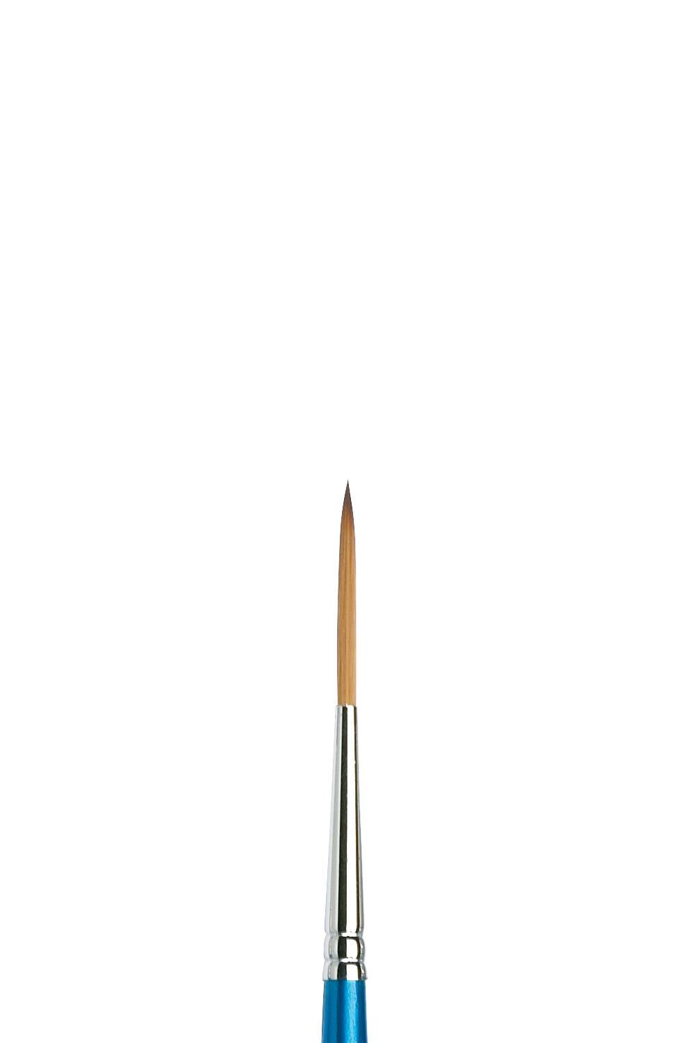 Cotman Watercolor Brushes