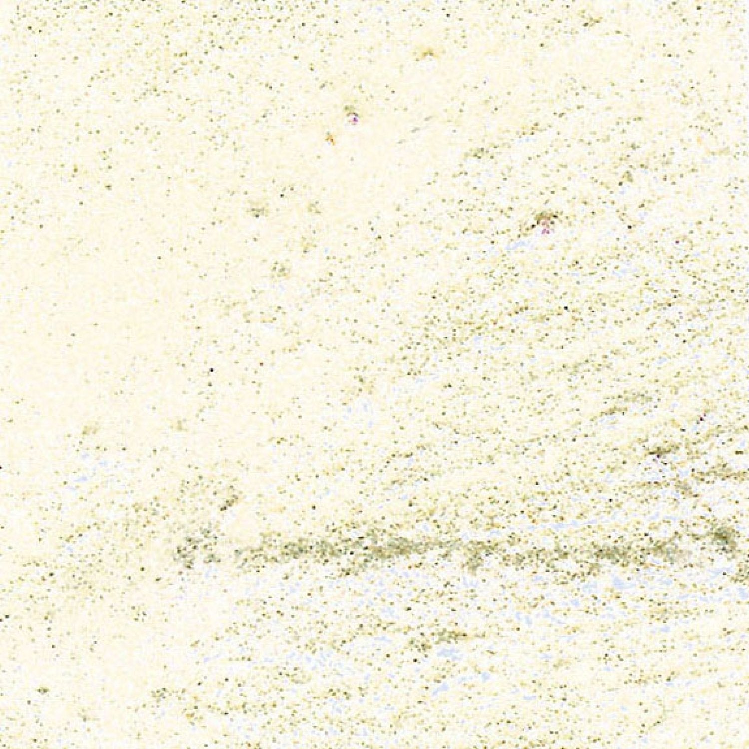 Encaustic Paints - 104ml Bar