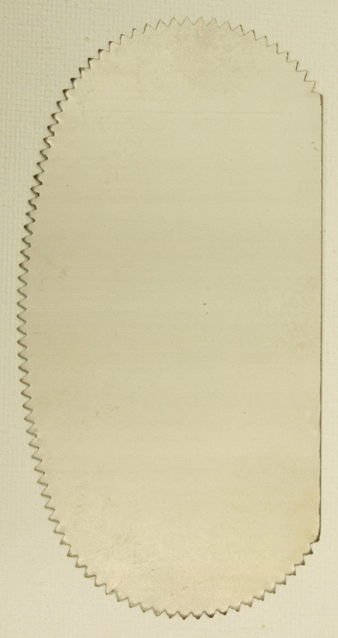 Art Alternatives Stainless Steel Serrated Scraper