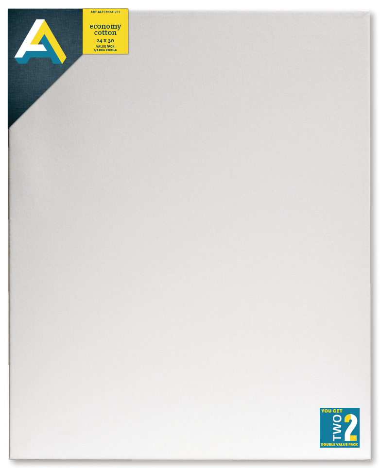 Art Alternatives Economy Cotton Stretched Canvas Twinpacks