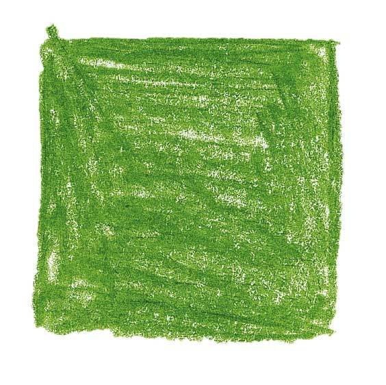 Color-Giants Colored Pencils